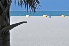 GulfCoastNIK 0469