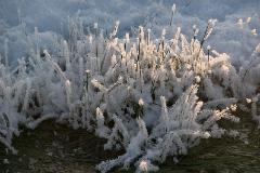 Schnee