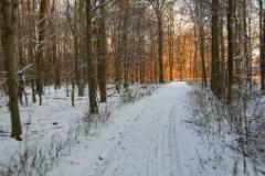 Winterbilder