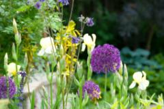 DSC 1496  (c) Oskar Narten