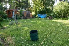 DSC 8044  Die Fische sind gerettet