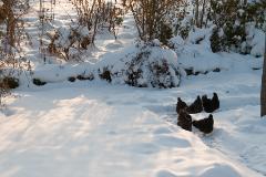 Genuss in der Agendsonne  (c) Oskar Narten