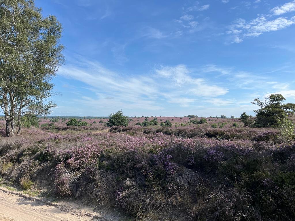 E16B6479-29A1-4C06-970B-ADE5C46F8129-25154-000004FE9B4D6607