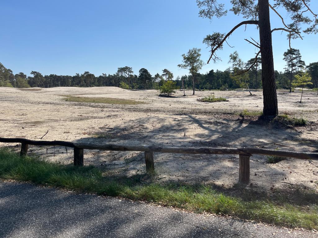 F515F348-95E2-42D2-A036-5602408531DC-20965-000003EEF1578F15