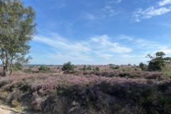 E16B6479-29A1-4C06-970B-ADE5C46F8129-25154-000004FE9B4D6607