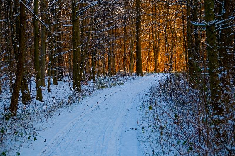 Winterlicht am Abend